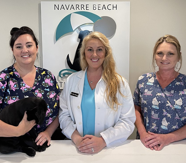 Beach store veterinary clinic